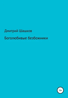 Дмитрий Шашков Боголюбивые безбожники обложка книги
