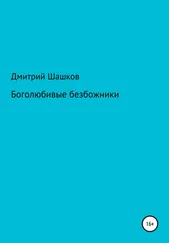 Дмитрий Шашков - Боголюбивые безбожники