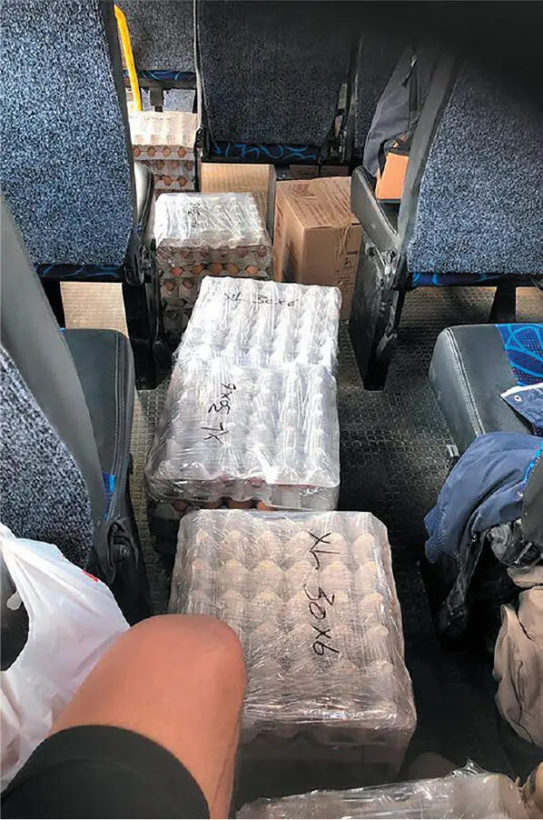 BRUTUS JACOBI UND GUMBI CHAPTER SIX Der Staub rieselte von der Decke und - фото 9