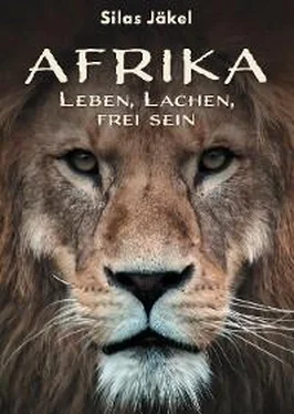 Silas Jäkel Afrika - Leben, Lachen, frei sein обложка книги
