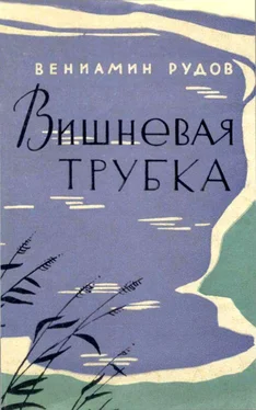 Вениамин Рудов Вишневая трубка обложка книги