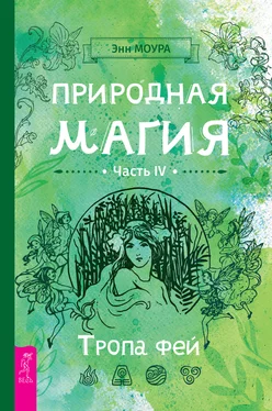 Энн Моура Природная магия. Часть IV. Тропа фей обложка книги