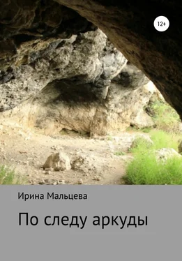 Ирина Мальцева По следу аркуды обложка книги