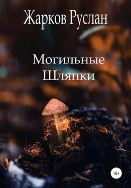 Руслан Жарков Могильные шляпки обложка книги