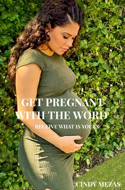 Cindy Mezas Get pregnant with the Word обложка книги