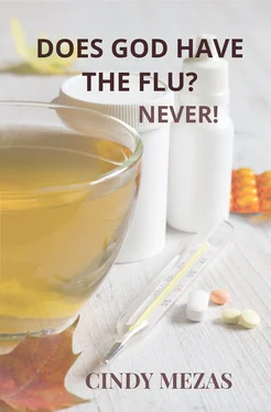 Cindy Mezas Does God have the flu? обложка книги