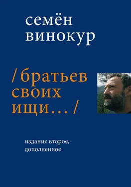 Семен Винокур Братьев своих ищи… обложка книги