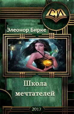 Элеонор Бирке Школа мечтателей обложка книги