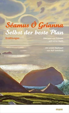 Séamus Ó Grianna Selbst der beste Plan обложка книги