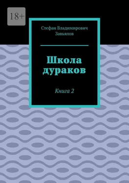 Стефан Завьялов Школа дураков. Книга 2 обложка книги