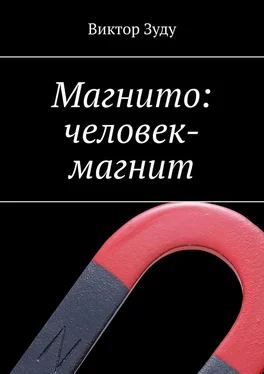 Виктор Зуду Магнито: человек-магнит обложка книги
