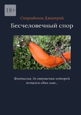 Дмитрий Спиридонов Бесчеловечный спор обложка книги