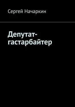 Сергей Начаркин Депутат-гастарбайтер обложка книги