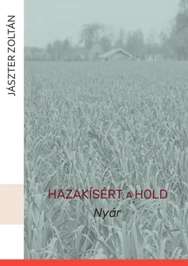 Zoltán Jászter Hazakísért a Hold. Nyár обложка книги