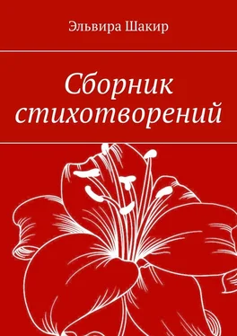 Эльвира Шакир Сборник стихотворений обложка книги