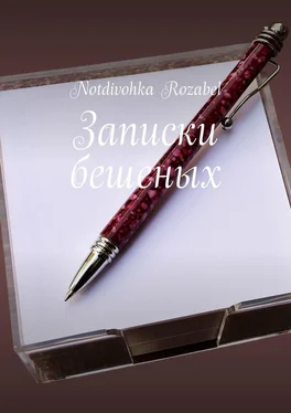 Notdivohka Rozabel Записки бешеных обложка книги