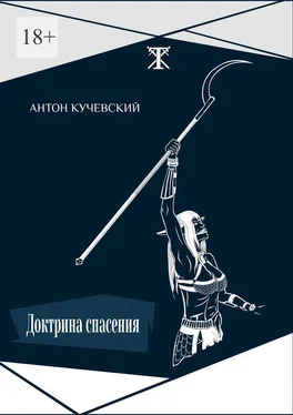 Антон Кучевский Доктрина спасения обложка книги