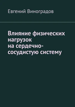 Евгений Виноградов Влияние физических нагрузок на сердечно-сосудистую систему