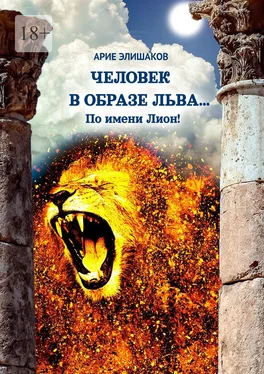 Арие Элишаков Человек в образе льва… По имени Лион! обложка книги