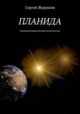 Сергей Журавлев Планида. Панхомоспермическая космологема обложка книги