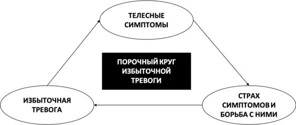 Рис 12 Порочный круг избыточной тревоги Большой порочный круг избыточной - фото 16