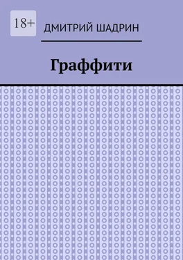 Дмитрий Шадрин Граффити обложка книги