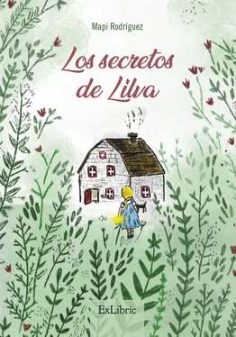 María del Pino Rodríguez García Los secretos de Lilva обложка книги