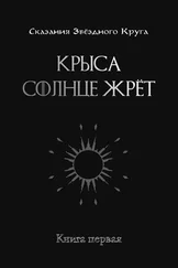 Андрей Довгань - Крыса солнце жрёт. Книга 1