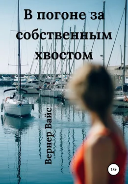 Вернер Вайс В погоне за собственным хвостом обложка книги