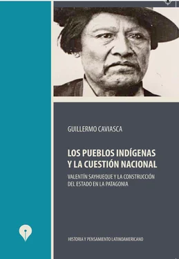 Guillermo Caviasca Los pueblos indígenas y la cuestión nacional обложка книги