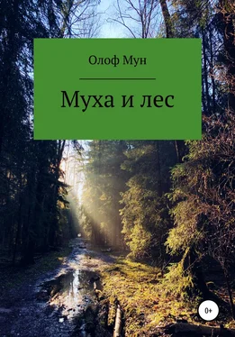 Олоф Мун Муха и лес обложка книги
