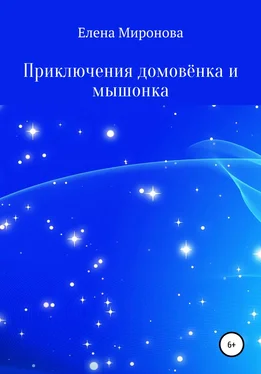 Елена Миронова Приключения домовёнка и мышонка обложка книги