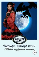 Вандор Хельга - Черная птица ночи