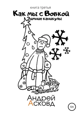 Андрей Асковд Как мы с Вовкой. Зимние каникулы. Книга третья обложка книги