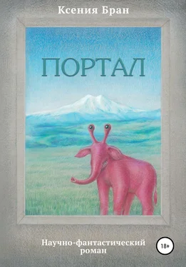 Ксения Бран Портал обложка книги