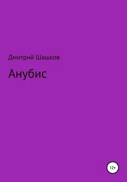 Дмитрий Шашков Анубис обложка книги