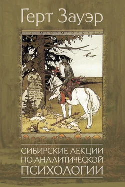 Герт Зауэр Сибирские лекции по аналитической психологии