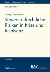 Jens M. Schmittmann - Steuerstrafrechtliche Risiken in Krise und Insolvenz