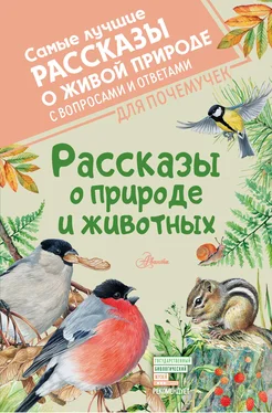 Михаил Пришвин Рассказы о природе и животных обложка книги