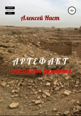 Алексей Наст Артефакт. Послание древних обложка книги