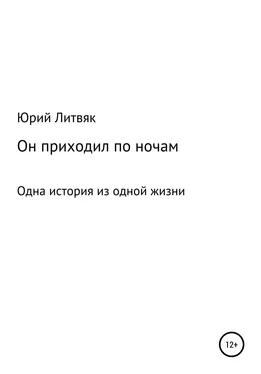 Юрий Литвяк Он приходил по ночам обложка книги