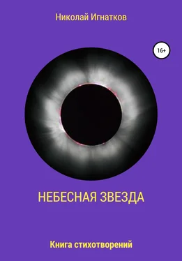 Николай Игнатков Небесная звезда обложка книги