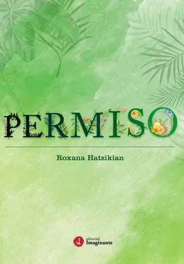 Roxana Hatzikián Permiso обложка книги