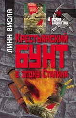 Линн Виола - Крестьянский бунт в эпоху Сталина - Коллективизация и культура крестьянского сопротивления