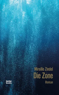 Mireille Zindel Die Zone обложка книги