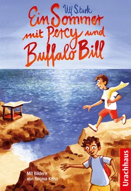 Ulf Stark Ein Sommer mit Percy und Buffalo Bill обложка книги