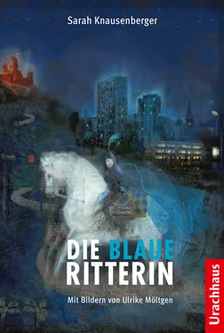 Sarah Knausenberger Die Blaue Ritterin обложка книги