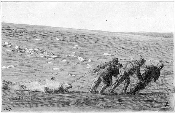 We first tried to drag the bears By A Eiebakke from a Photograph We - фото 24