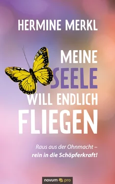 Hermine Merkl Meine Seele will endlich fliegen обложка книги