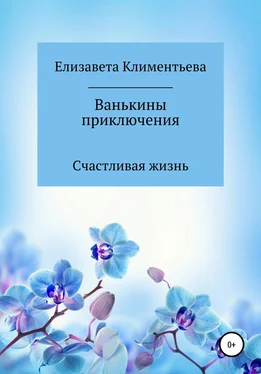 Елизавета Климентьева Ванькины приключения обложка книги